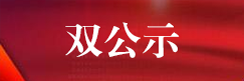 双公示