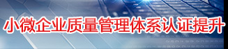 小微企业质量管理体系认证提升