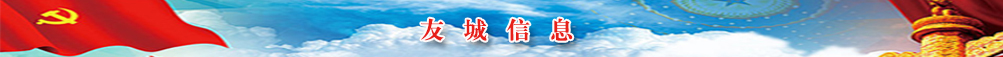 友城信息