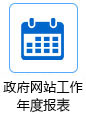 网站年度工作报表